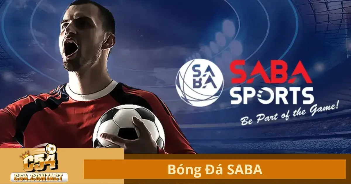 Bóng Đá SABA Là Gì? Tìm Hiểu Đặc Điểm Nổi Bật Của Nền Tảng Này