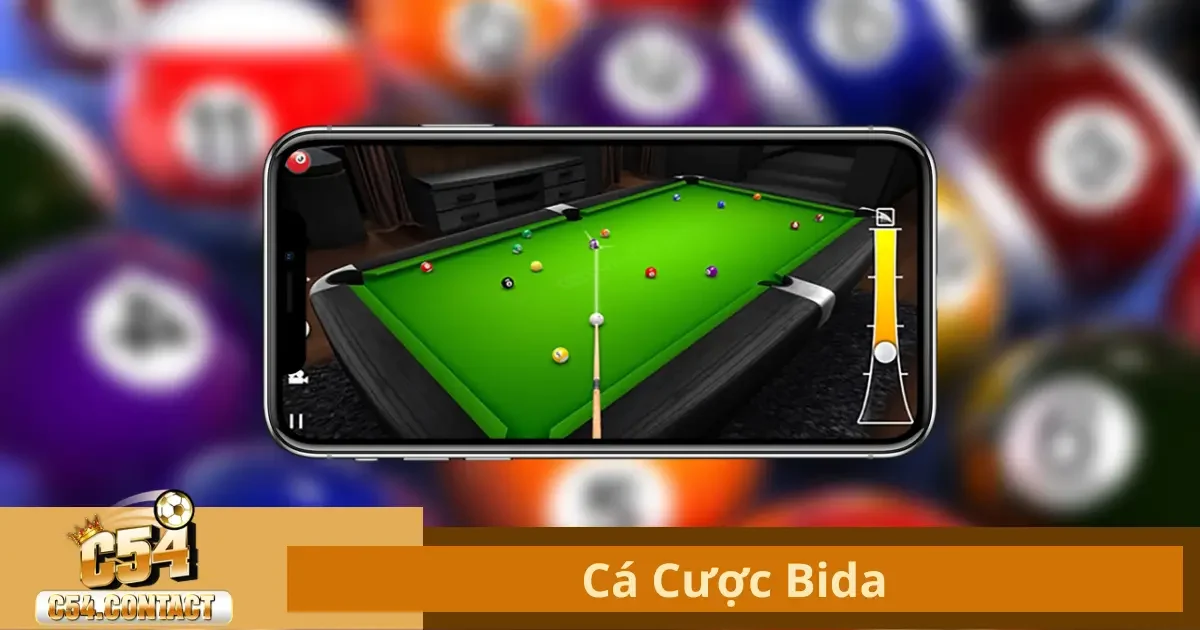 Cá Cược Bida Là Gì? Tìm Hiểu Các Loại Kèo Phổ Biến