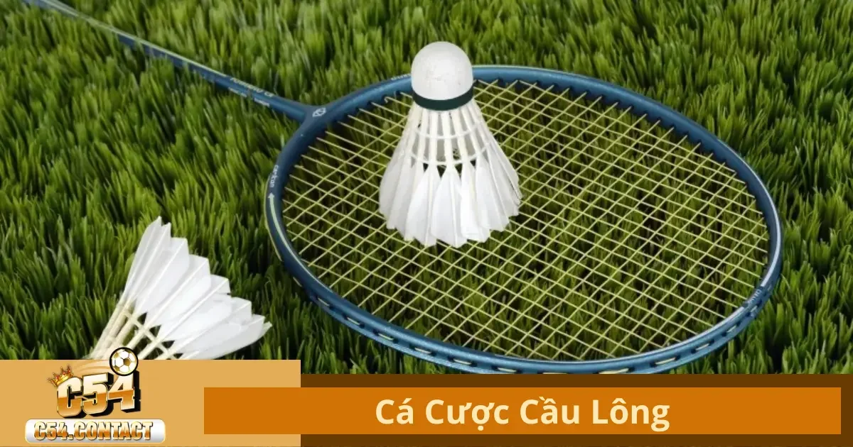 Cá Cược Cầu Lông Là Gì? Luật Chơi Và Các Loại Kèo Phổ Biến