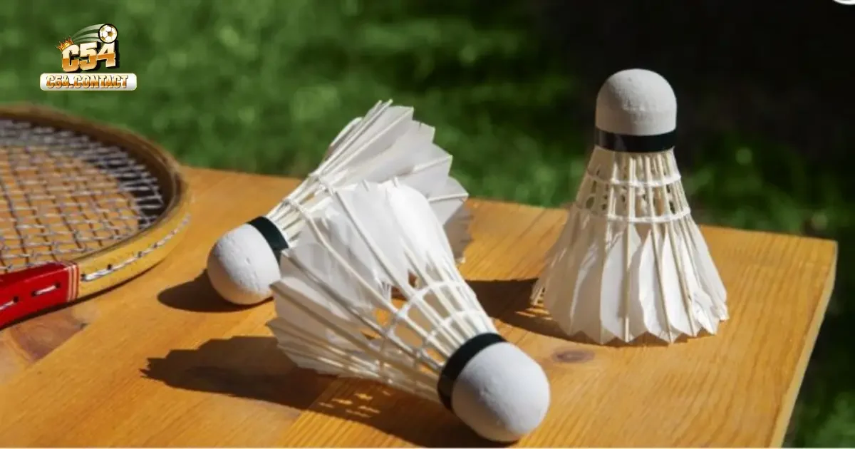 Làm Thế Nào Để Phân Tích Thế Trận Và Đặt Kèo Chính Xác?