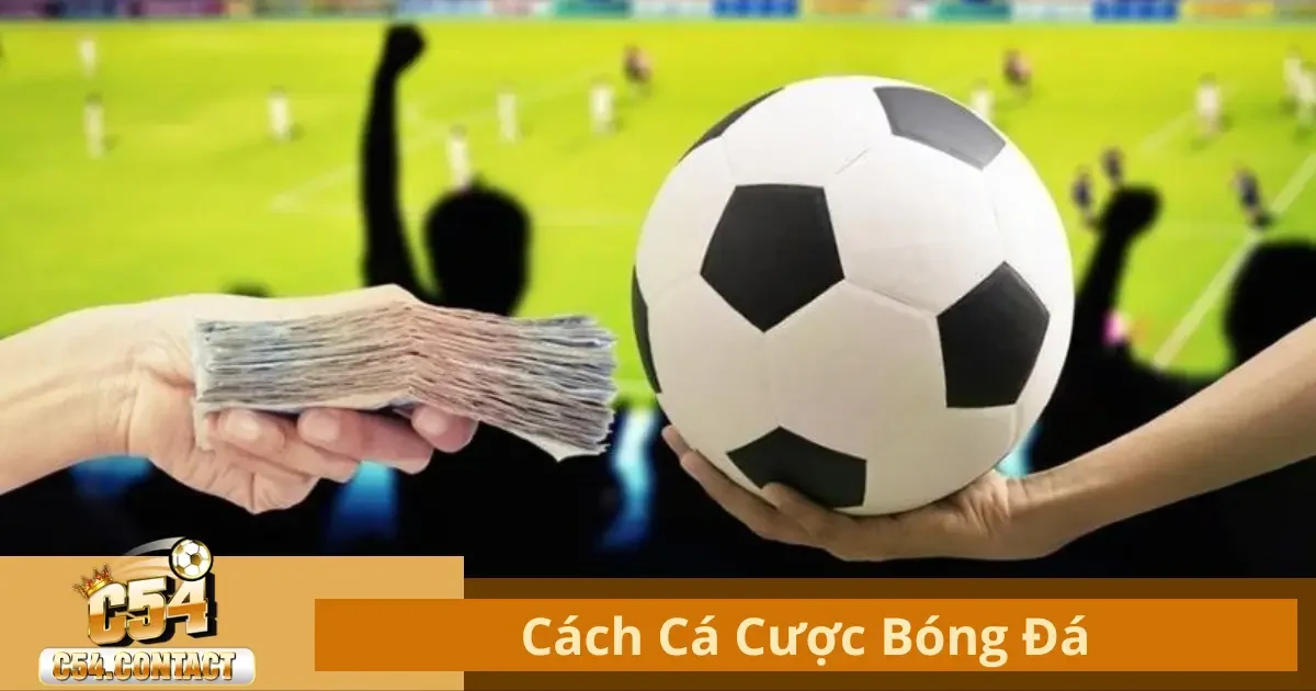 Cá Cược Bóng Đá Là Gì? Các Loại Kèo Phổ Biến Tại C54