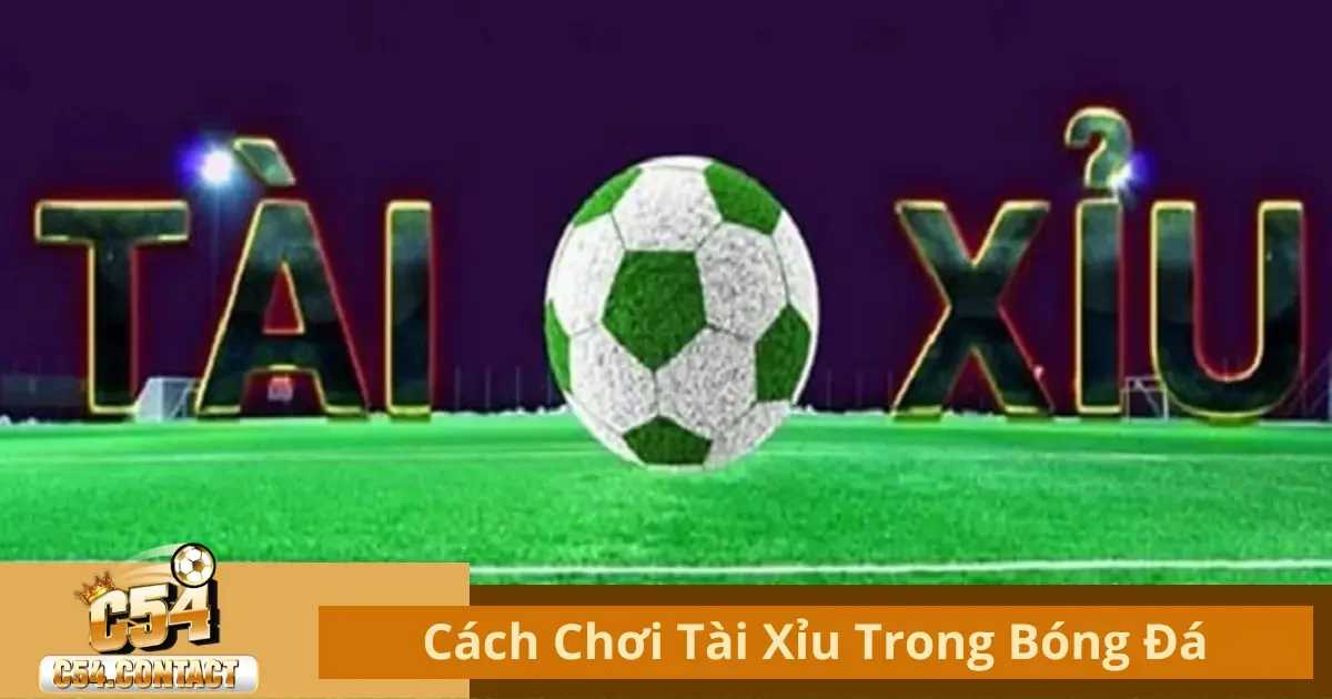 Tài Xỉu Trong Bóng Đá Là Gì? Hướng Dẫn Chơi Cơ Bản
