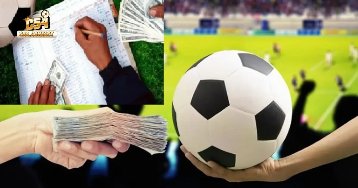 Vai trò của cò cá độ trong việc xây dựng cộng đồng cá cược