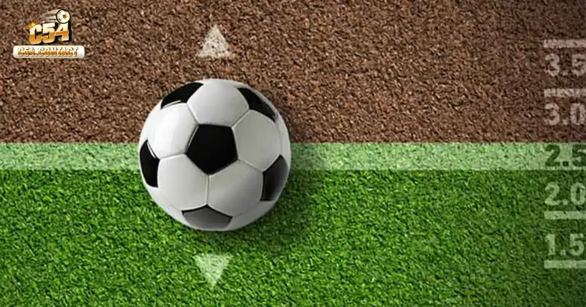 Cách Đọc Kèo Bóng Đá