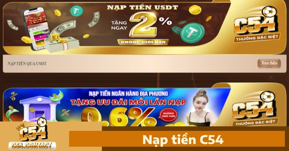 Cách xử lý các lỗi thường gặp trong quá trình nạp tiền C54