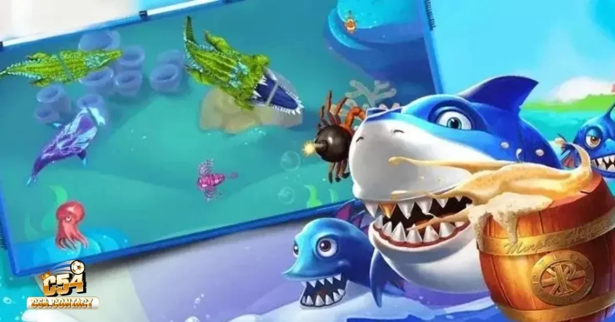 Các cấp độ cá & hệ thống phần thưởng đặc biệt