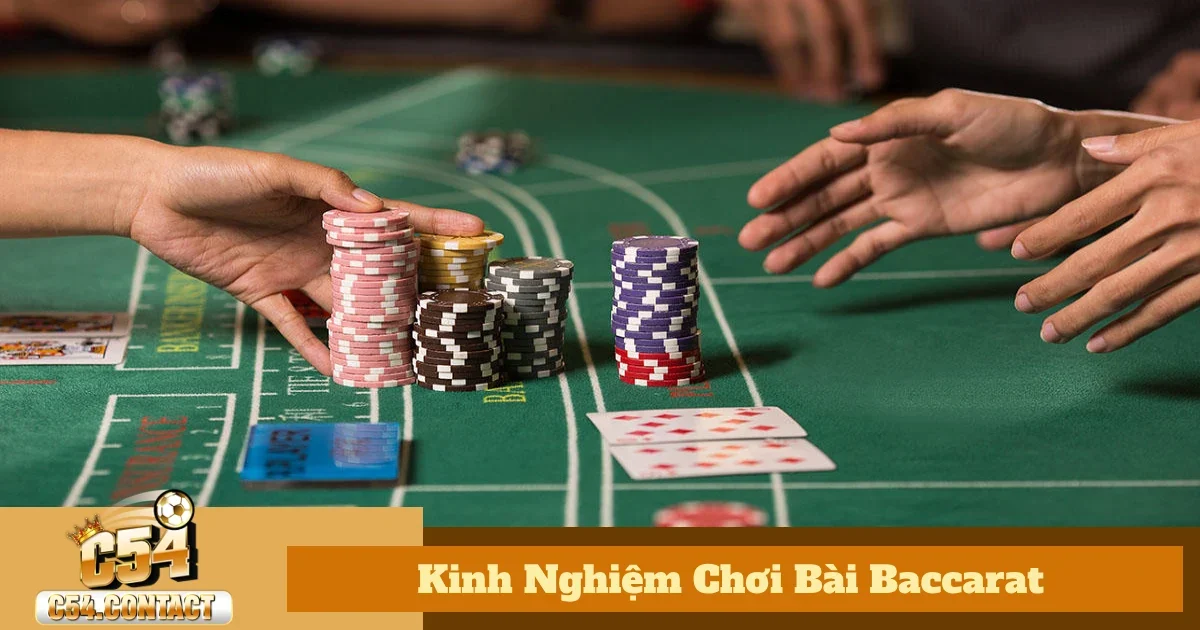 Các loại cược trong kinh nghiệm chơi bài baccarat & tỷ lệ trả thưởng
