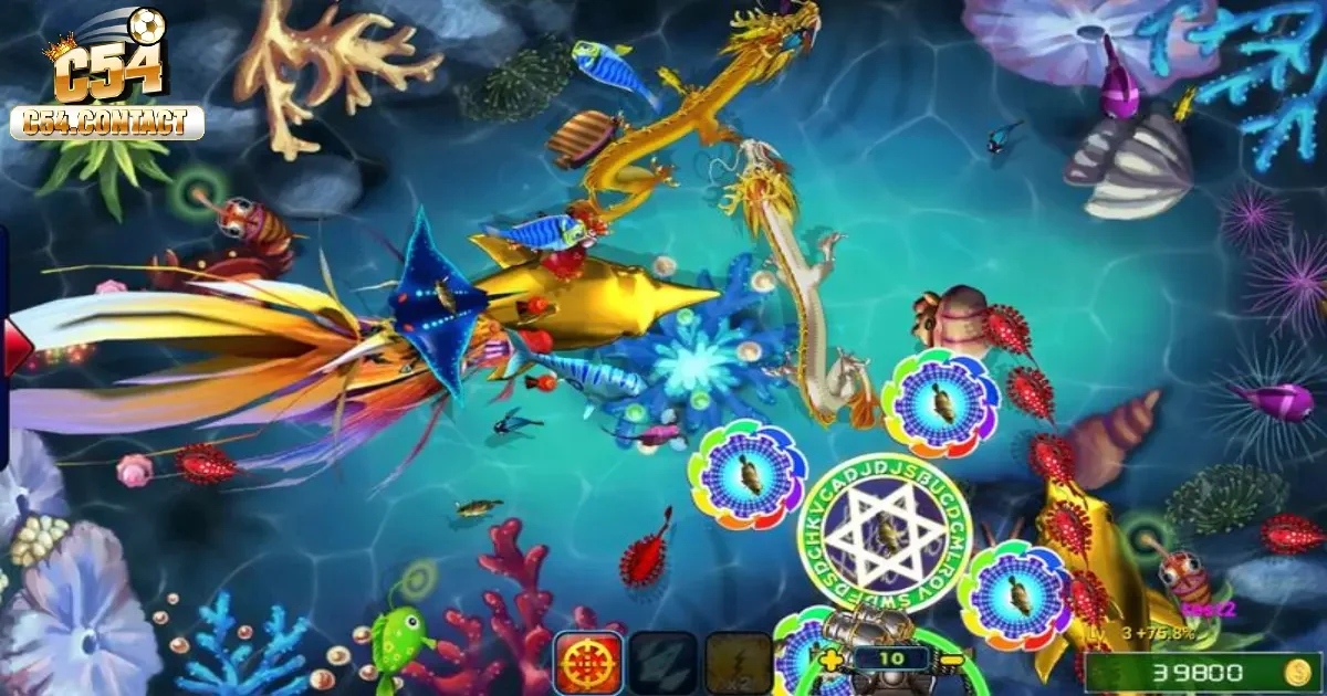 Bí kíp tăng xu nhanh từ cao thủ lâu năm