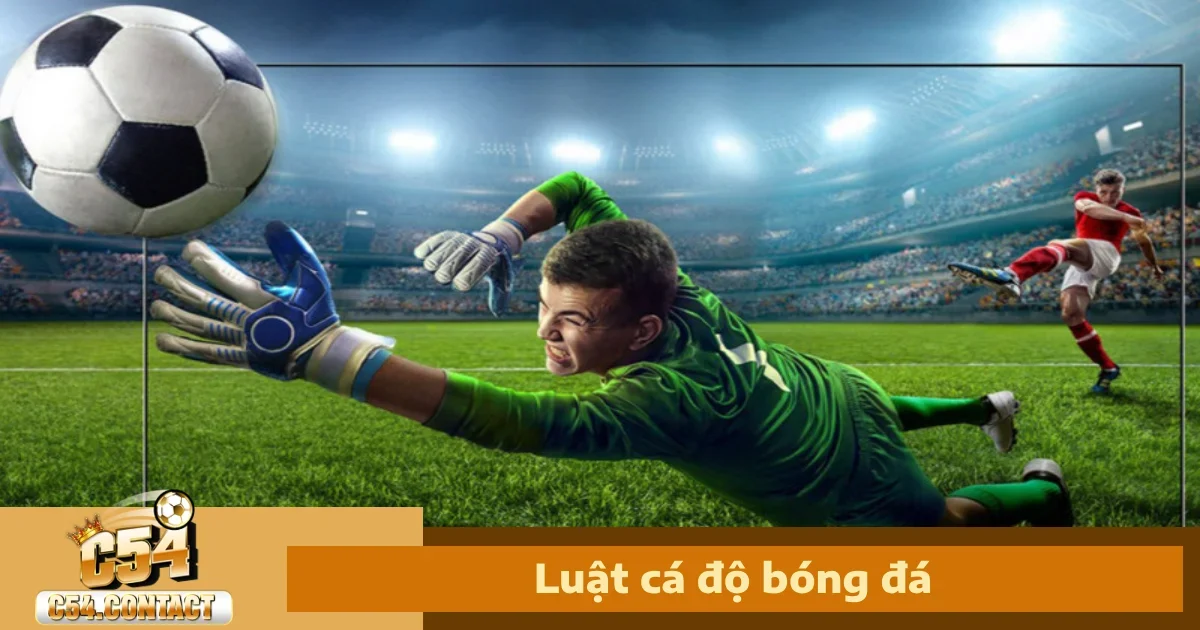 Luật Cá Độ Bóng Đá Cần Biết Trước Khi Chơi Tại Nhà Cái C54