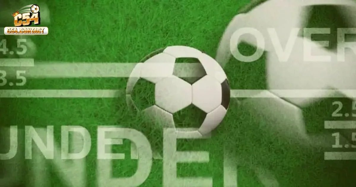 Hướng dẫn cách đọc kèo chuẩn xác