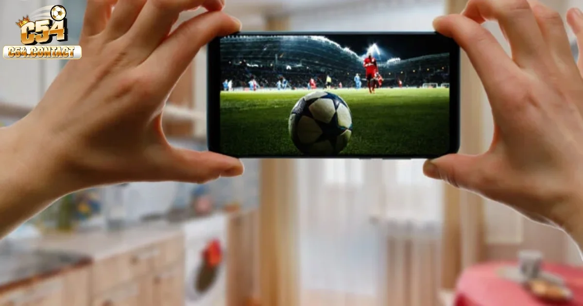 Một vài lưu ý cần nhớ khi tham gia cá cược trực tuyến