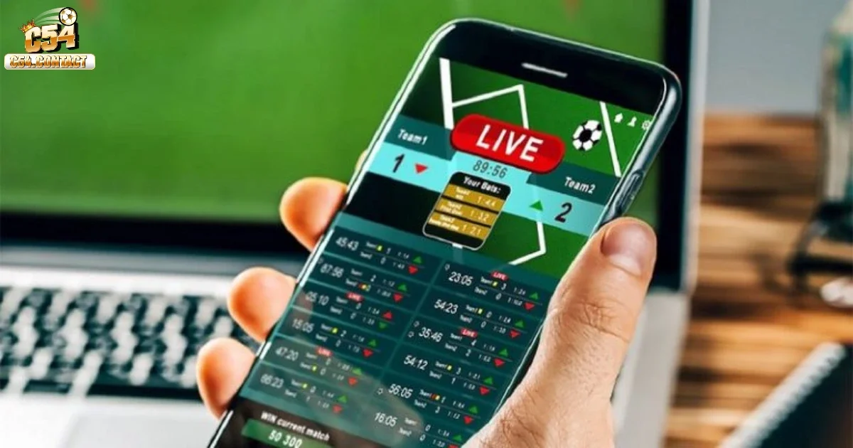 Nghiên cứu tâm lý người chơi và xu hướng biến động của thị trường