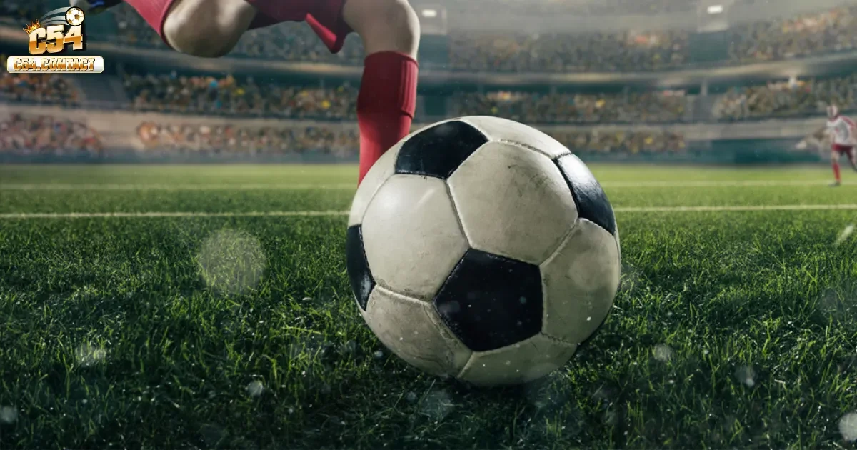 Các tính năng hỗ trợ độc quyền có trên nền tảng C54